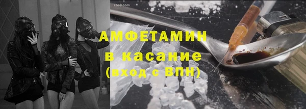 хмурый Аркадак