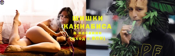 2c-b Пересвет