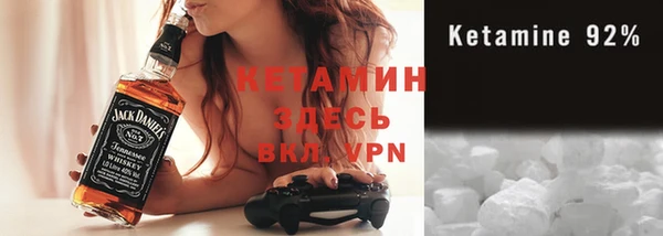 хмурый Аркадак