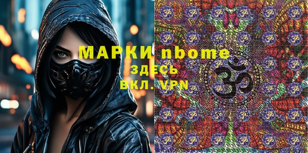 хмурый Аркадак