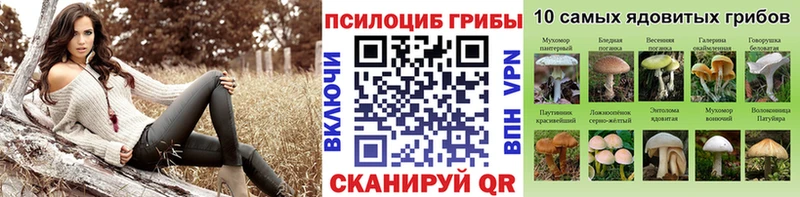 Псилоцибиновые грибы Cubensis  Суворов 